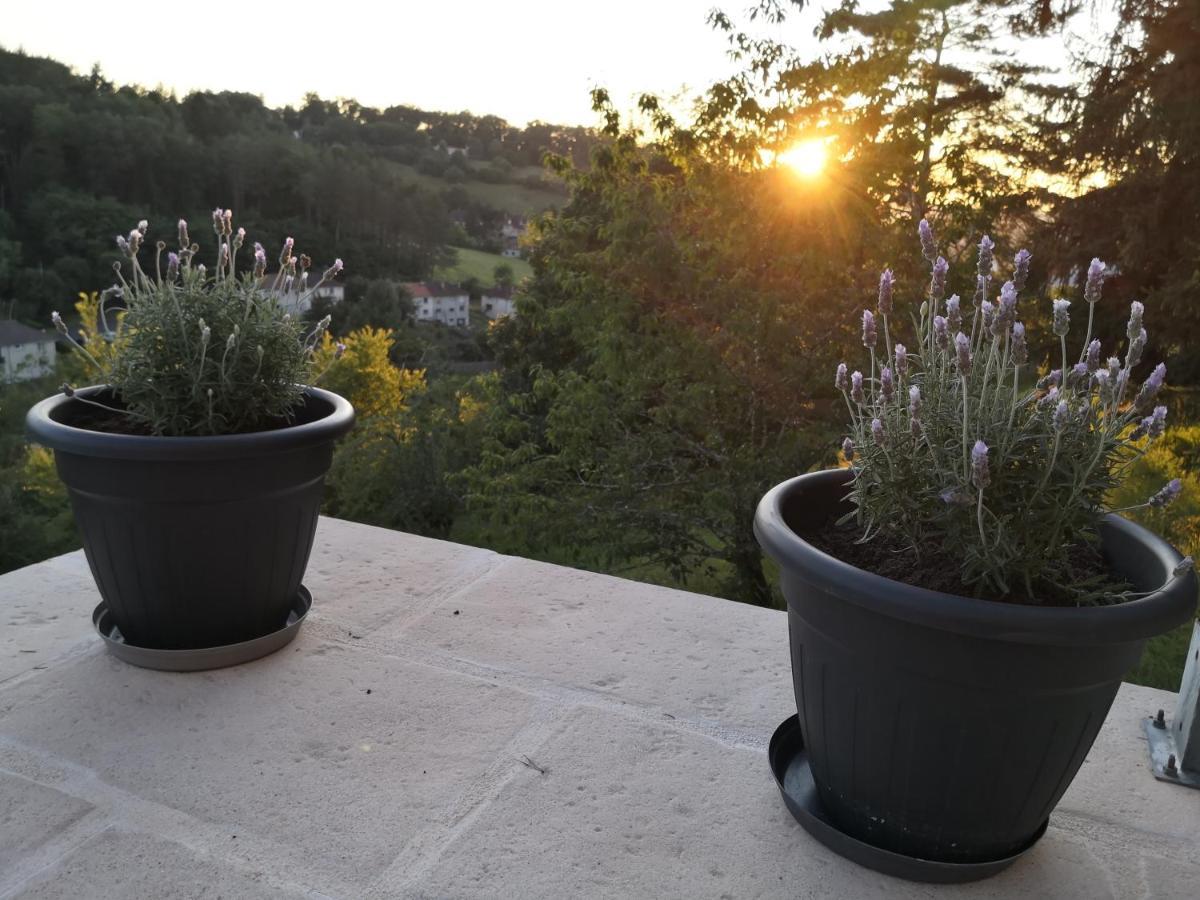 Chambre meublée avec vue panoramique à Périgueux Sanilhac  Exterior foto